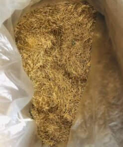 Gold Plated Pins Scrap